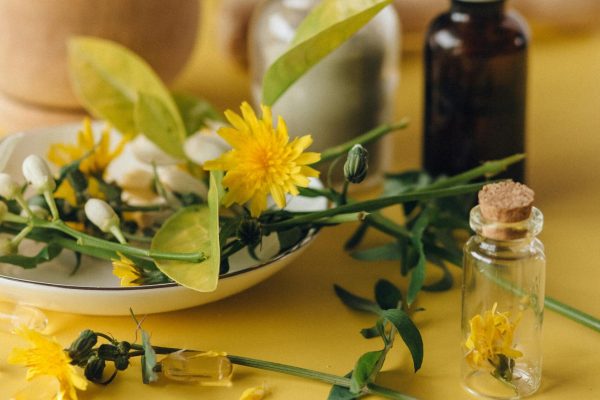 pexels n voitkevich 7526013